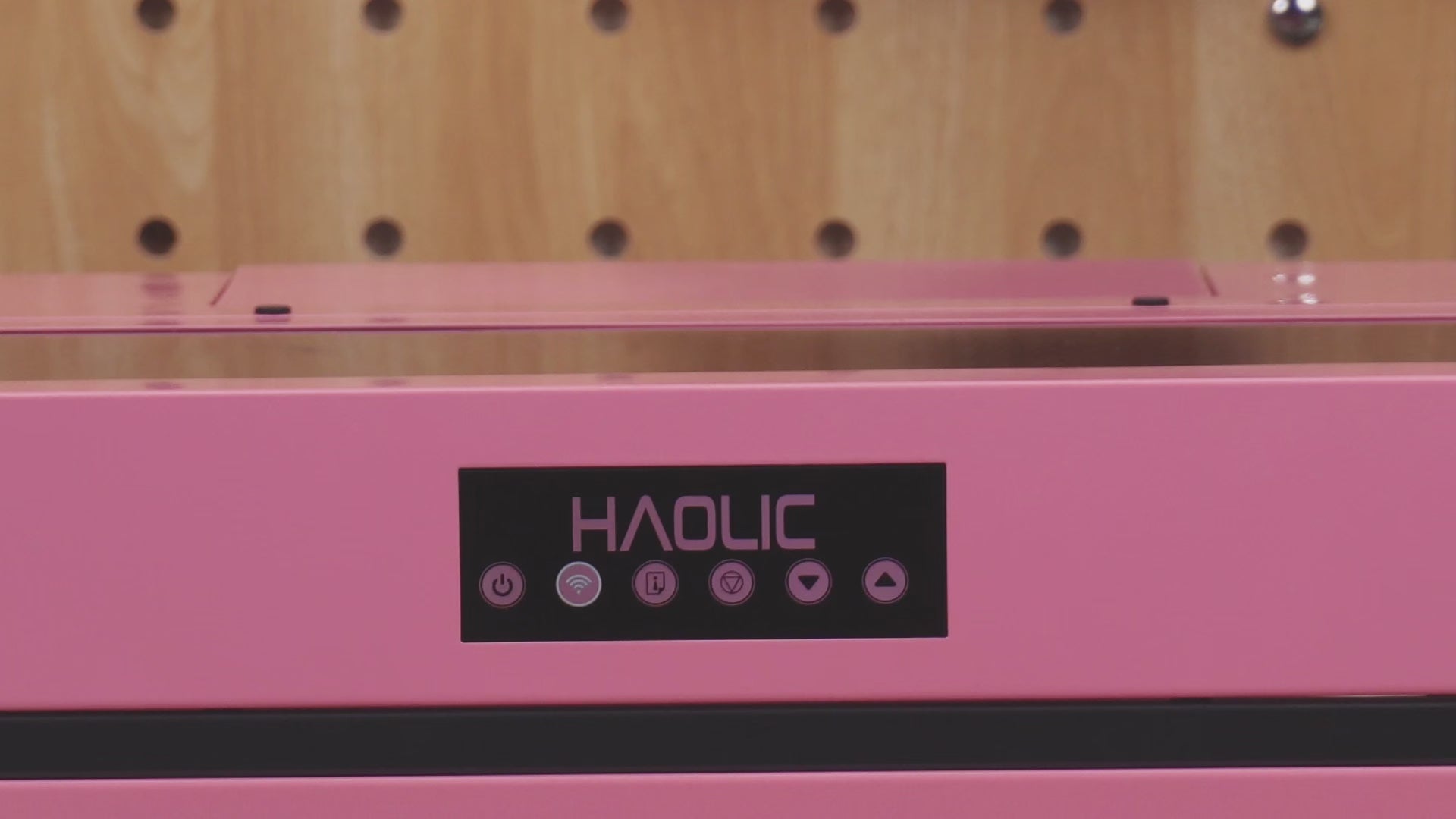 Haolic Mini D8 DTF Printer 13" | Compact Direct-to-Film Printer for Small Business & Home Use
